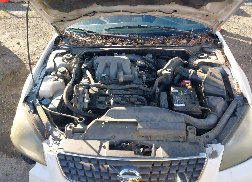 Photo 10 of 2005 Nissan Altima 3.5 SE (VIN 1N4BL11E45N924957)