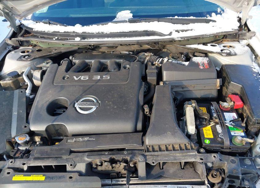 Photo 10 of 2008 Nissan Altima 3.5 SE (VIN 1N4BL21E98C217147)