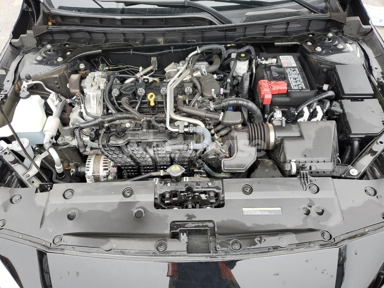 Photo 11 of 2025 NISSAN ALTIMA SR N/A (VIN 1N4BL4CV6SN311541)