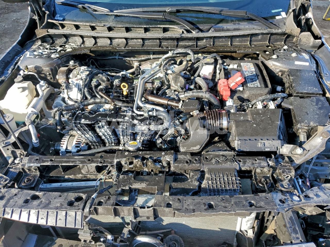 Photo 11 of 2025 NISSAN ALTIMA SR (VIN 1N4BL4CV9SN315969)