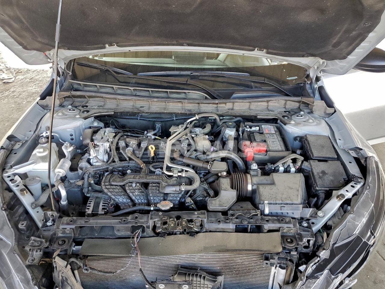 Photo 11 of 2024 NISSAN ALTIMA SV (VIN 1N4BL4DV0RN389676)