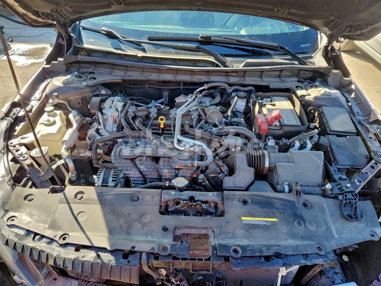 Photo 11 of 2025 NISSAN ALTIMA SV (VIN 1N4BL4DV0SN302882)