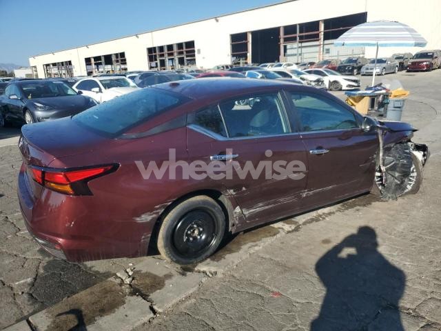 2025 NISSAN ALTIMA SV