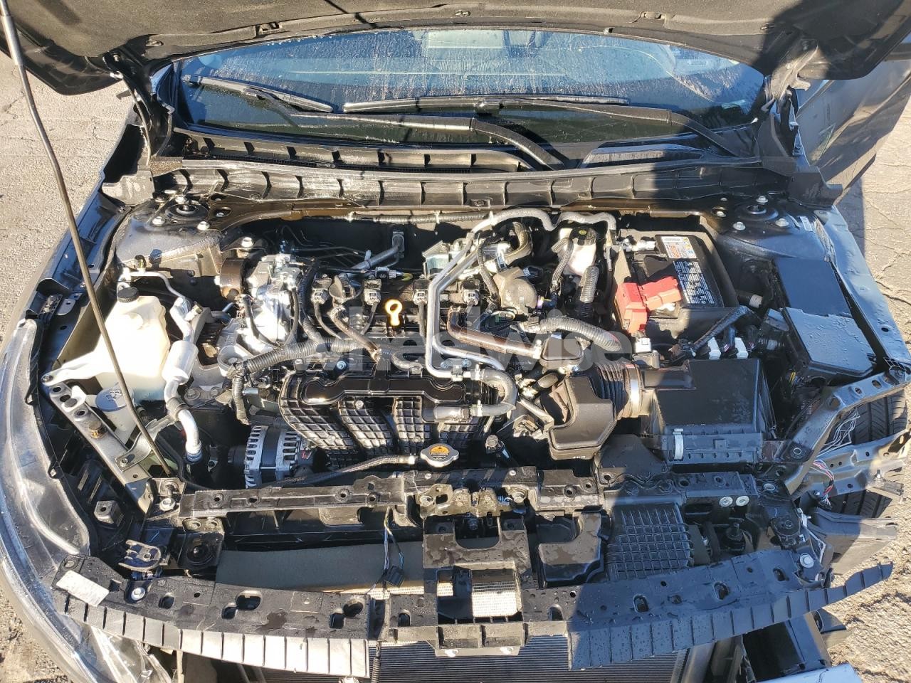 Photo 11 of 2025 NISSAN ALTIMA SV (VIN 1N4BL4DV0SN348597)