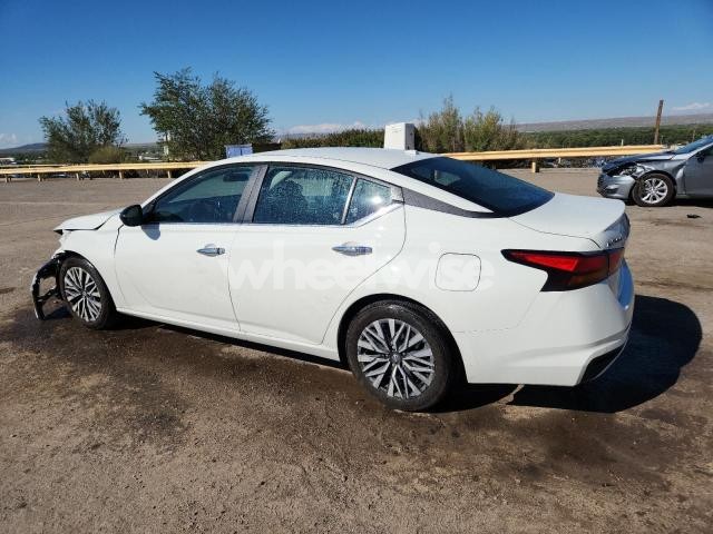 2025 NISSAN ALTIMA SV