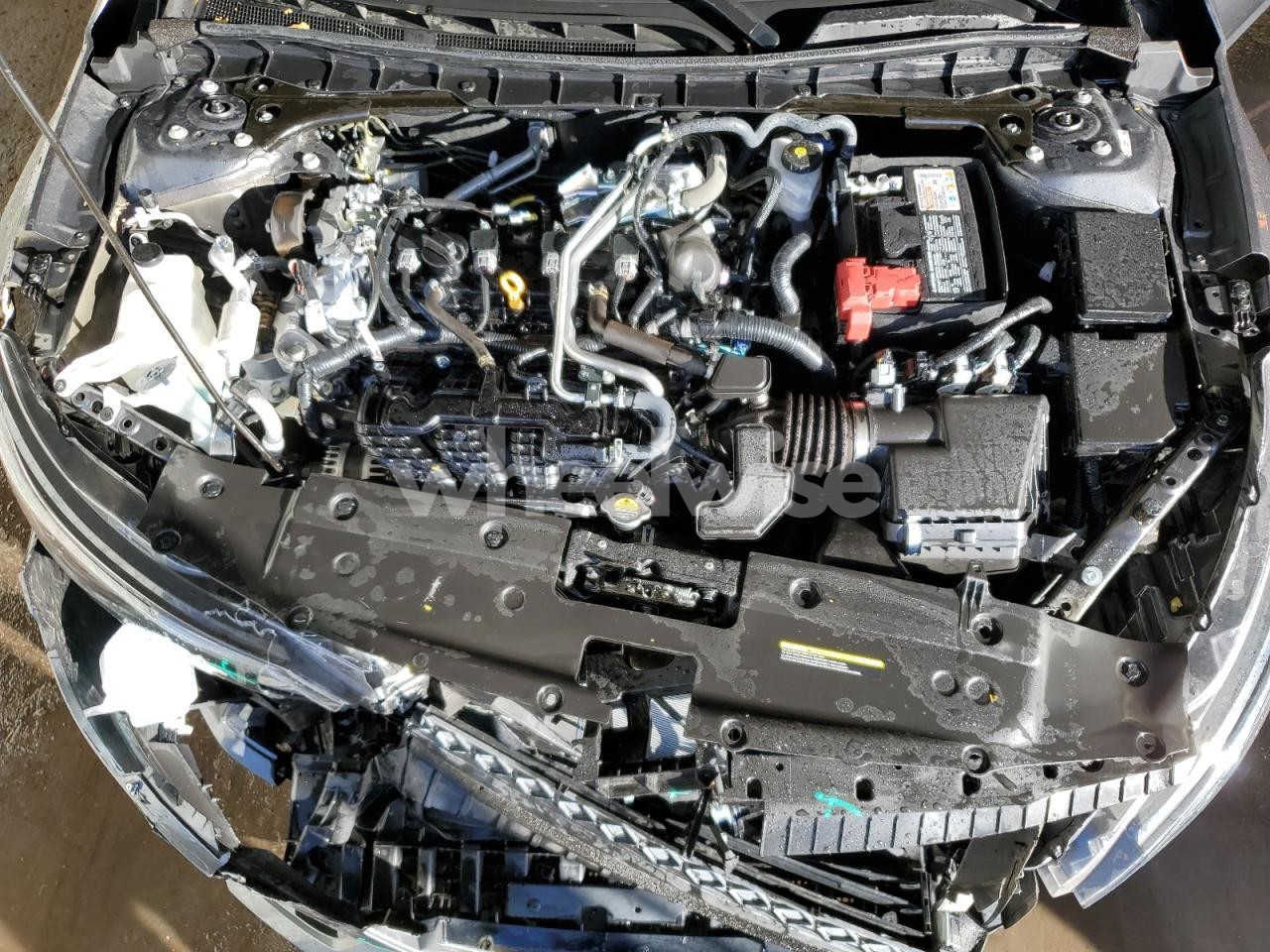 Photo 11 of 2025 NISSAN ALTIMA SV (VIN 1N4BL4DV2SN380435)