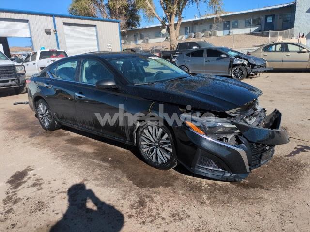 Photo 11 of 2024 NISSAN ALTIMA SV (VIN 1N4BL4DV4RN343378)