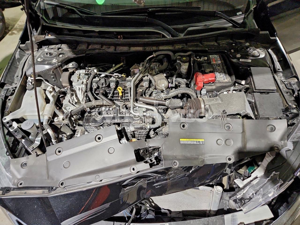 Photo 11 of 2025 NISSAN ALTIMA SV (VIN 1N4BL4DV4SN344326)