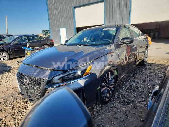 Photo 12 of 2025 NISSAN ALTIMA SV (VIN 1N4BL4DV4SN380405)