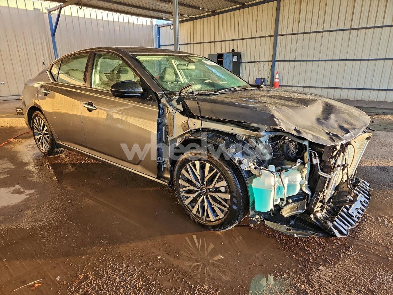 Photo 4 of 2025 NISSAN ALTIMA SV (VIN 1N4BL4DV6SN360088)