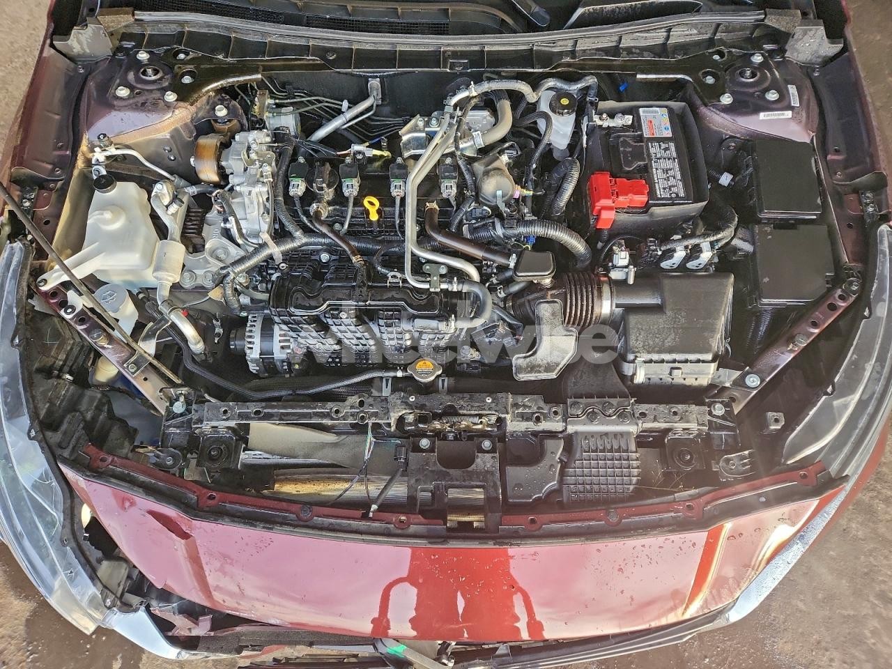 Photo 11 of 2025 NISSAN ALTIMA SV (VIN 1N4BL4DV6SN389736)