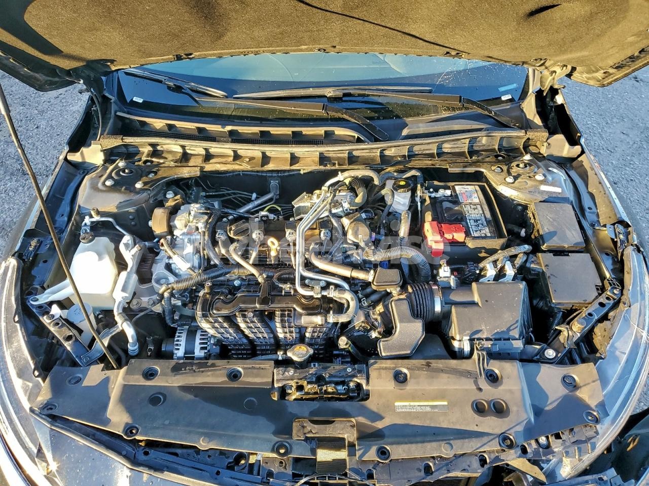 Photo 11 of 2025 NISSAN ALTIMA SV (VIN 1N4BL4DV7SN327827)