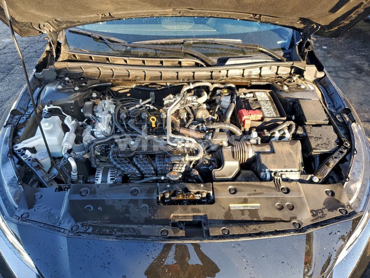 Photo 11 of 2025 NISSAN ALTIMA SV (VIN 1N4BL4DV8RN342296)