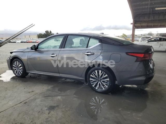 Photo 10 of 2025 NISSAN ALTIMA SV (VIN 1N4BL4DV9SN403810)