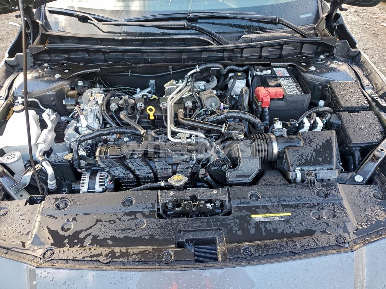 Photo 11 of 2025 NISSAN ALTIMA SV (VIN 1N4BL4DW9SN413293)