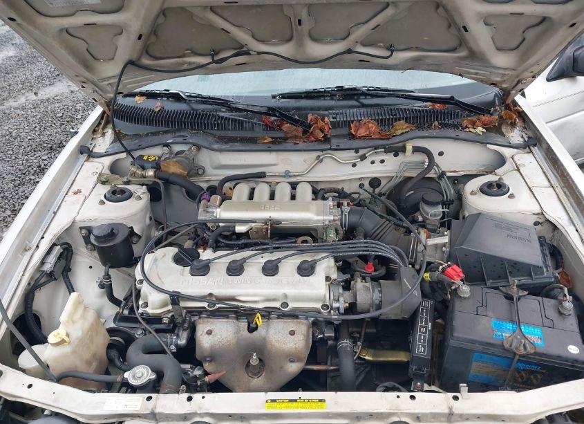 Photo 10 of 1991 Nissan Sentra (VIN 1N4EB32A0MC816014)