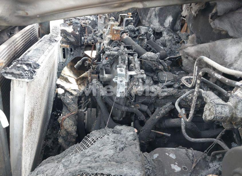 Photo 10 of 2005 Nissan Frontier NISMO OFF ROAD (VIN 1N6AD07W95C401763)