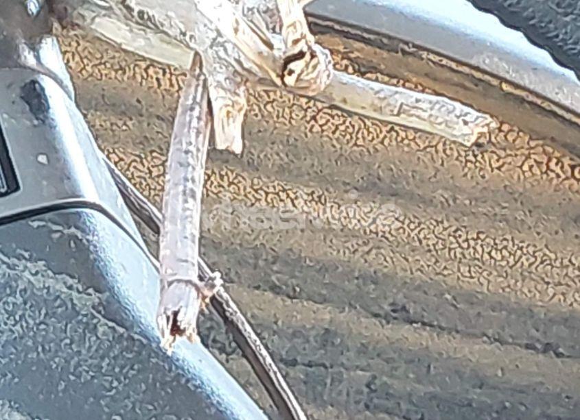 Photo 14 of 2006 Nissan Titan LE (VIN 1N6BA07B76N549989)