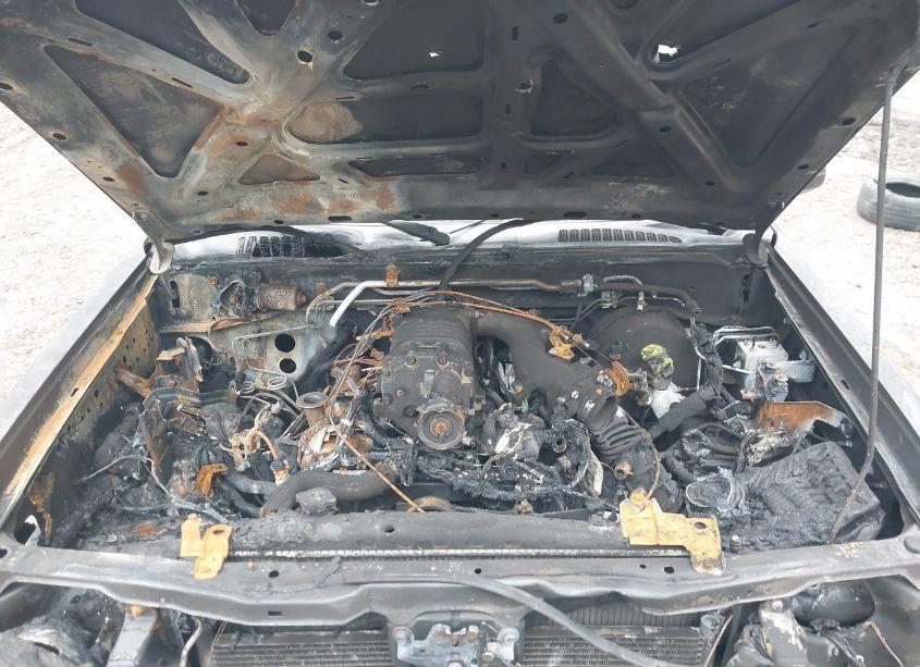 Photo 10 of 2002 Nissan Frontier SC-V6 (VIN 1N6MD29X52C305560)