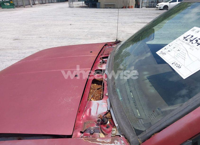 Photo 12 of 1993 Nissan Truck SHORT WHEELBASE (VIN 1N6SD11S7PC431315)