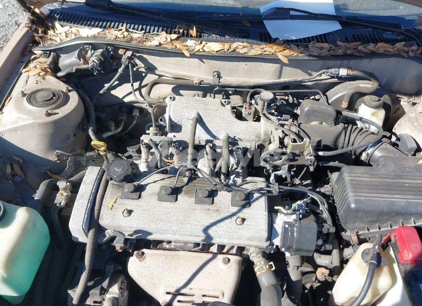 Photo 10 of 1996 Toyota Corolla (VIN 1NXBA02E4TZ480681)