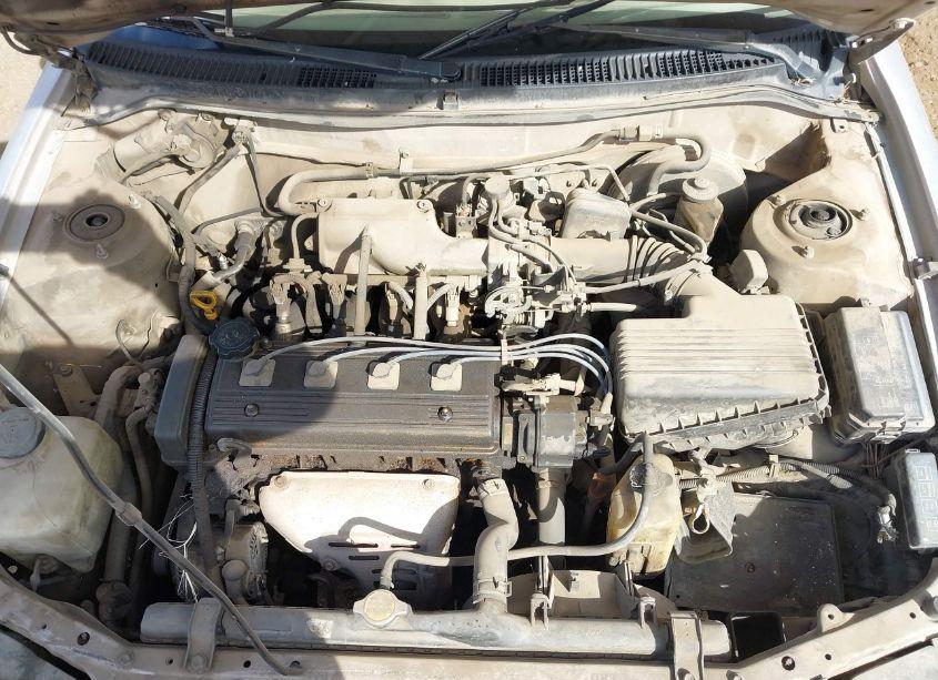 Photo 10 of 1996 Toyota Corolla DX (VIN 1NXBB02E2TZ456778)