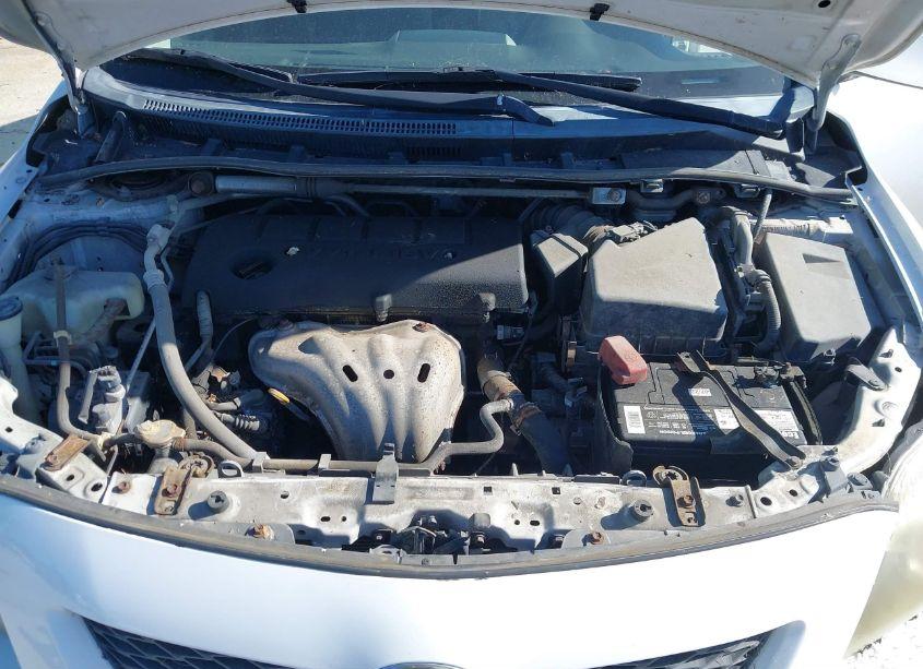 Photo 10 of 2009 Toyota Corolla XRS (VIN 1NXBE40EX9Z031240)