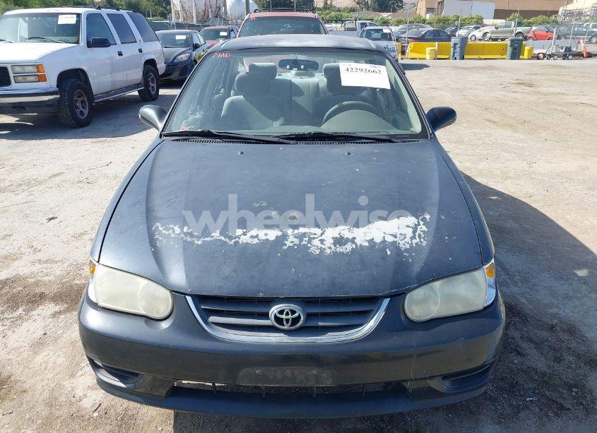 Photo 6 of 2001 Toyota Corolla LE (VIN 1NXBR12E11Z487986)