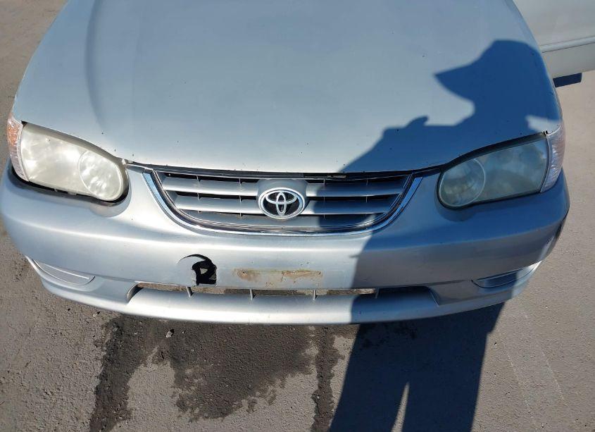 Photo 6 of 2002 Toyota Corolla (VIN 1NXBR12E12Z630498)