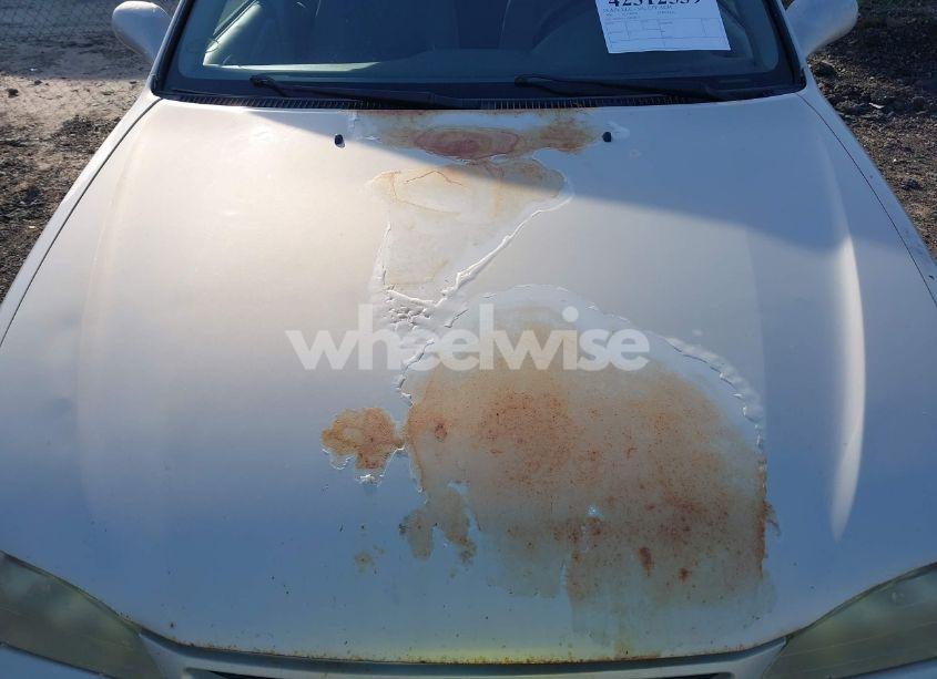 Photo 13 of 1999 Toyota Corolla VE (VIN 1NXBR12E1XZ186613)