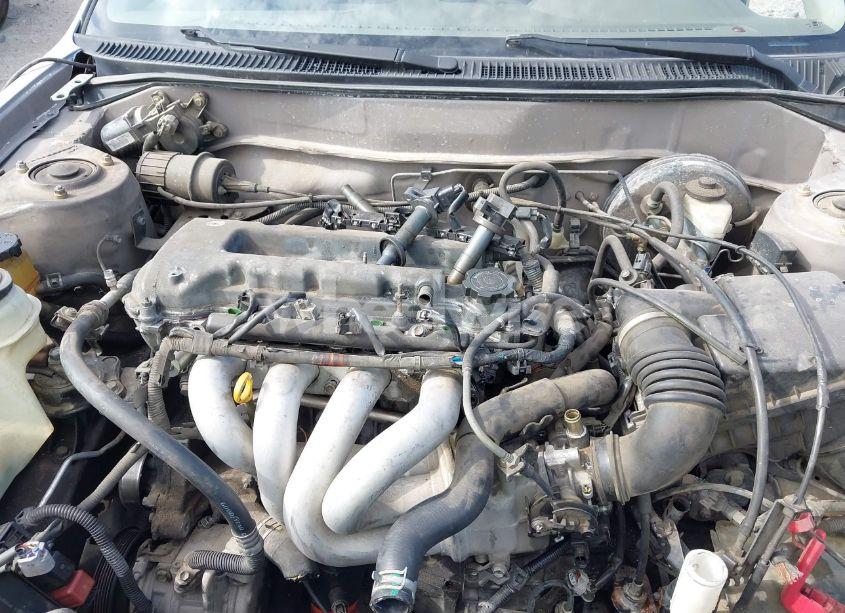 Photo 6 of 2002 Toyota Corolla CE (VIN 1NXBR12E22Z610924)