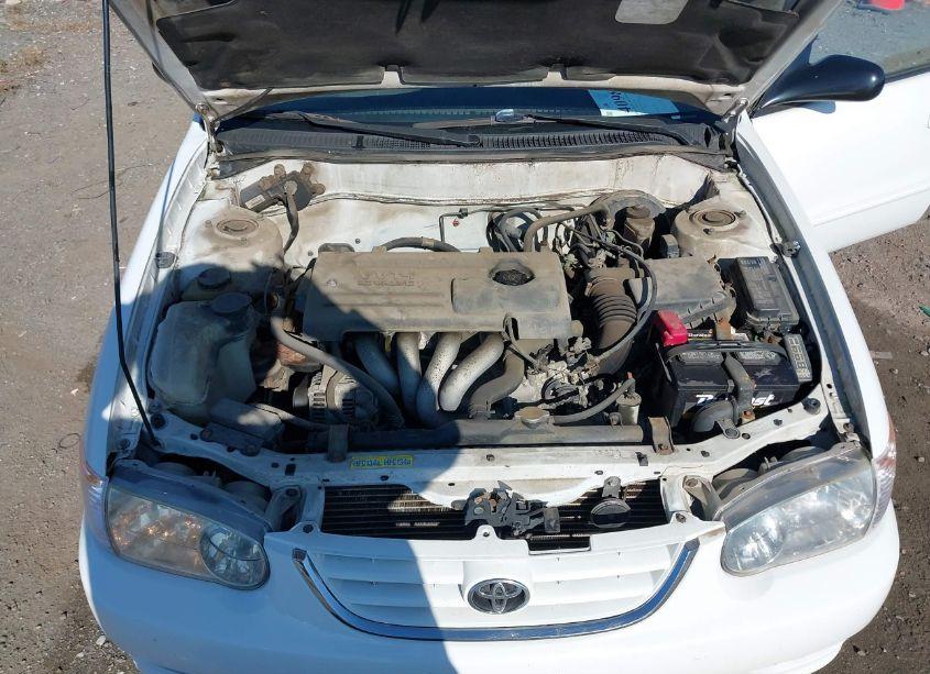 Photo 10 of 2001 Toyota Corolla S (VIN 1NXBR12E41Z451421)