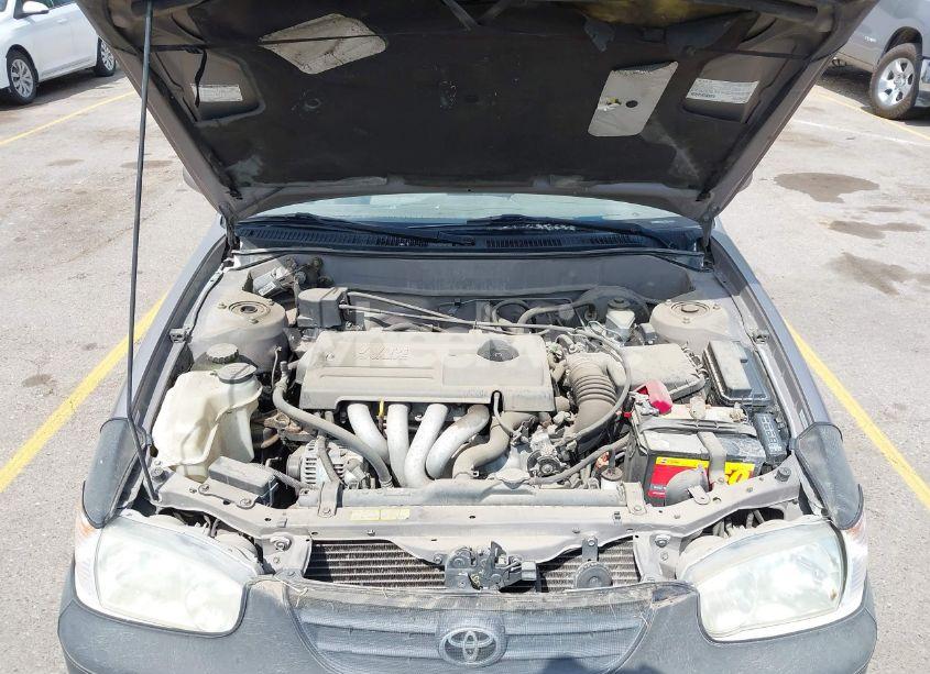 Photo 10 of 2001 Toyota Corolla LE (VIN 1NXBR12E41Z558016)