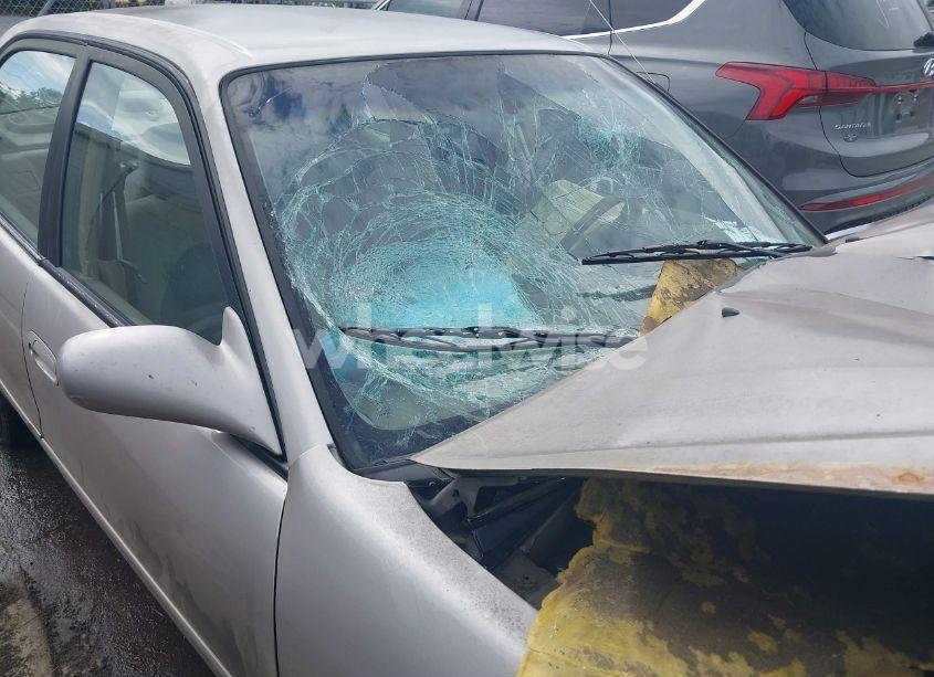 Photo 16 of 2002 Toyota Corolla LE (VIN 1NXBR12E42Z599084)