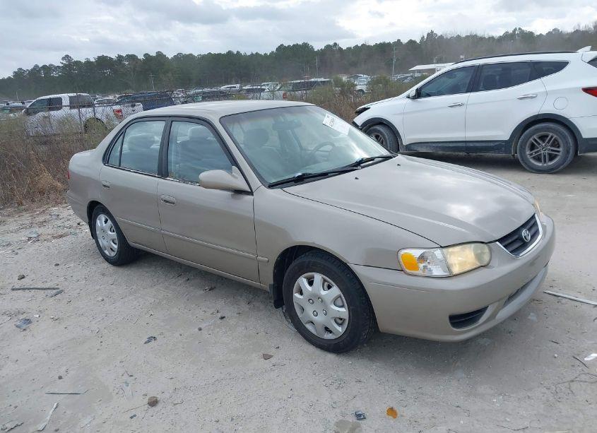 2001 Toyota Corolla LE (VIN 1NXBR12E51Z538101) main photo