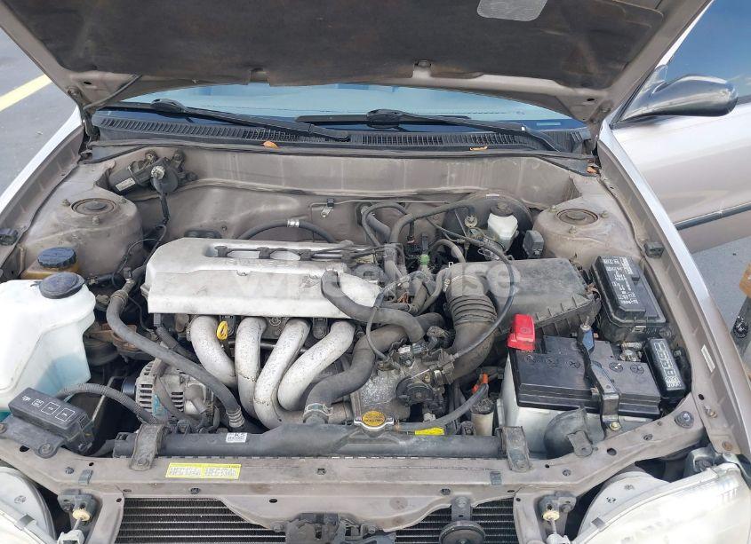 Photo 10 of 1999 Toyota Corolla CE/LE/VE (VIN 1NXBR12E5X2191135)