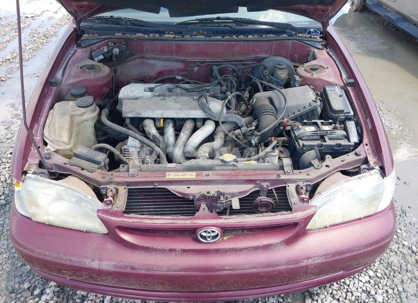 Photo 10 of 1998 Toyota Corolla VE (VIN 1NXBR12E6WZ046183)