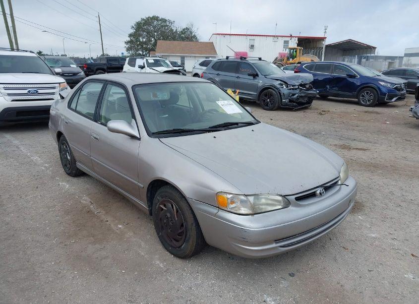 1999 Toyota Corolla LE (VIN 1NXBR12E6XZ142445) main photo