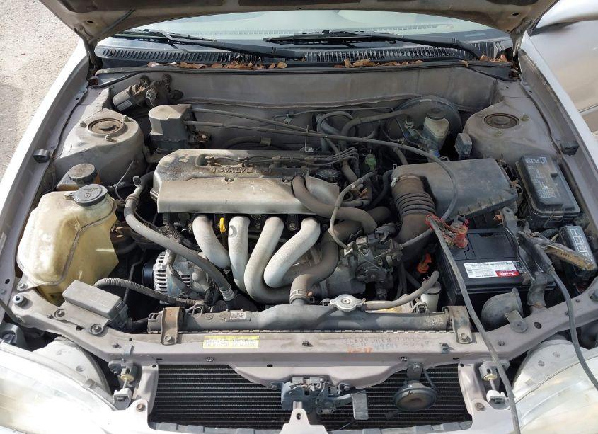 Photo 10 of 1999 Toyota Corolla LE (VIN 1NXBR12E6XZ142445)