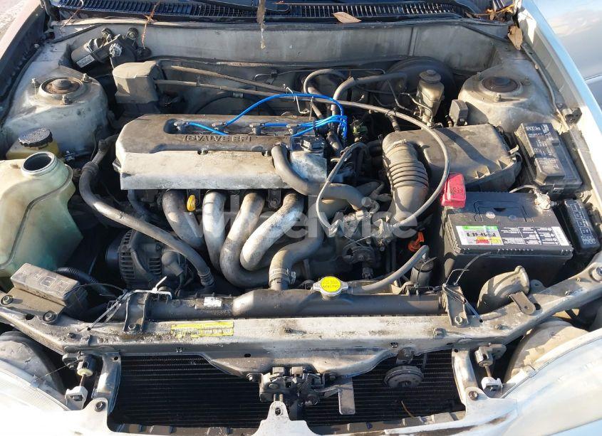 Photo 10 of 1999 Toyota Corolla LE (VIN 1NXBR12E6XZ235322)