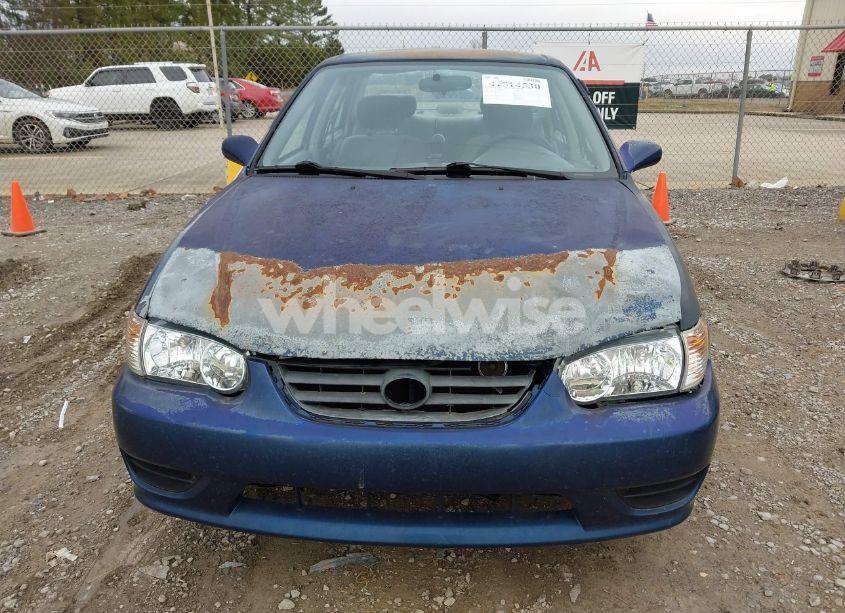 Photo 6 of 2001 Toyota Corolla LE (VIN 1NXBR12E71Z558172)