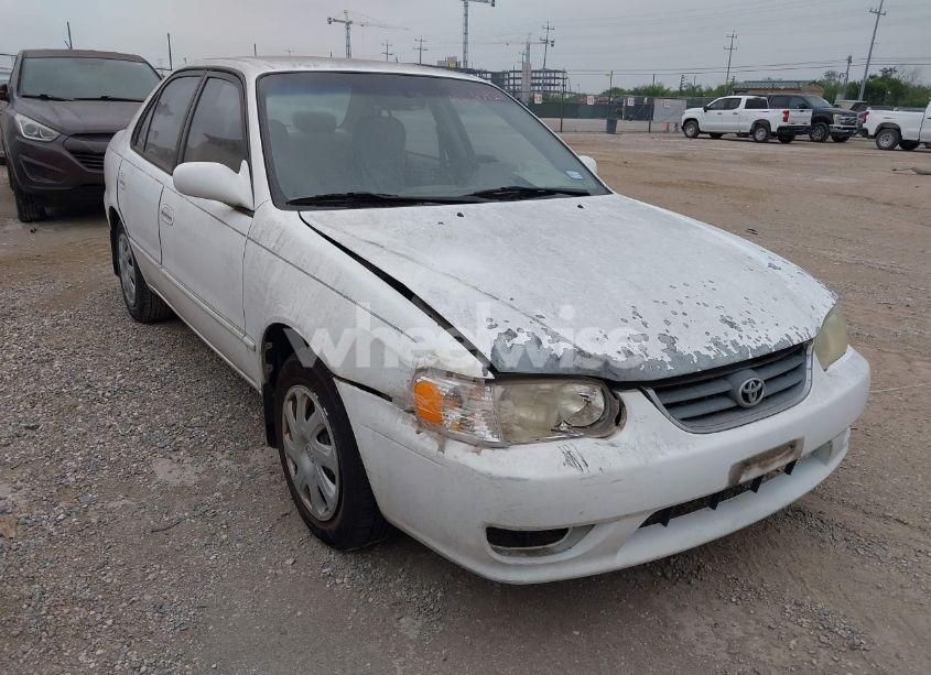 2002 Toyota Corolla LE (VIN 1NXBR12E72Z576561) main photo