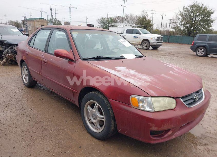 2002 Toyota Corolla LE (VIN 1NXBR12E72Z630862) main photo