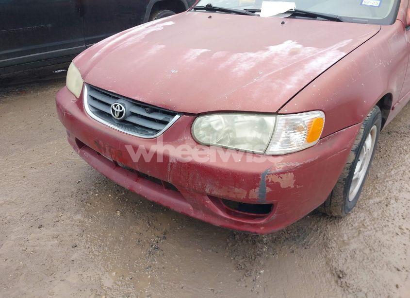 Photo 12 of 2002 Toyota Corolla LE (VIN 1NXBR12E72Z630862)