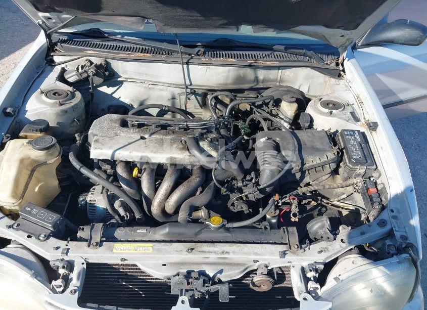 Photo 10 of 1999 Toyota Corolla CE (VIN 1NXBR12E7XZ244014)