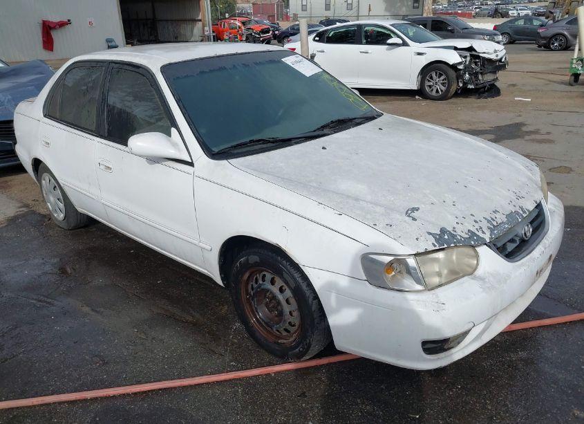 2001 Toyota Corolla LE (VIN 1NXBR12E81Z537489) main photo