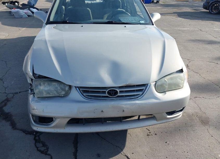 Photo 6 of 2001 Toyota Corolla LE (VIN 1NXBR12E91Z557864)