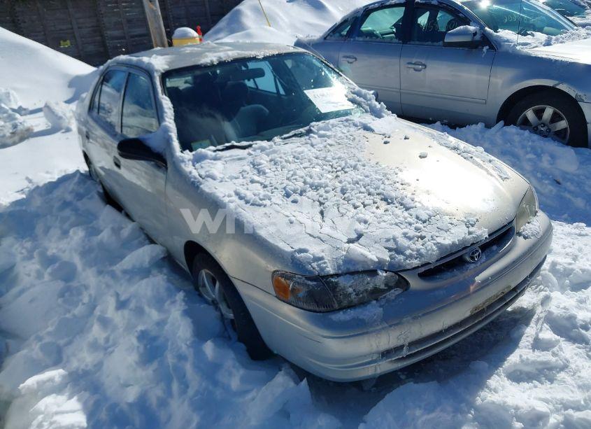 1999 Toyota Corolla VE (VIN 1NXBR12EXXZ257811) main photo