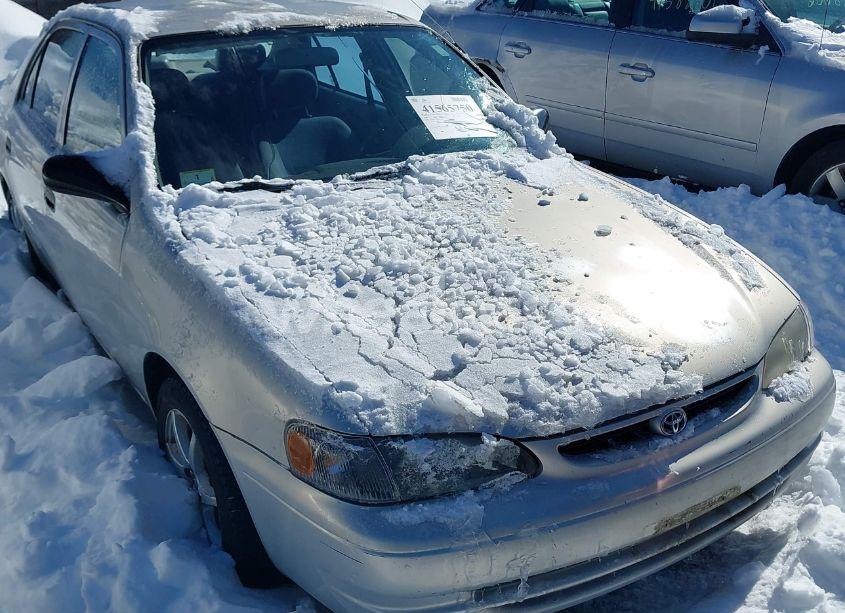 Photo 12 of 1999 Toyota Corolla VE (VIN 1NXBR12EXXZ257811)