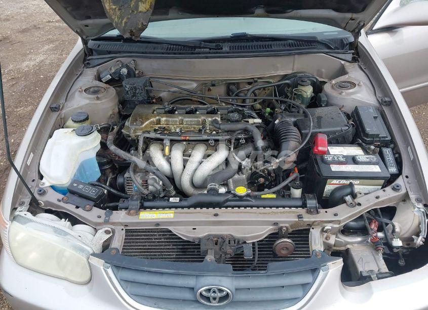 Photo 10 of 2001 Toyota Corolla LE (VIN 1NXBR18E11Z545666)